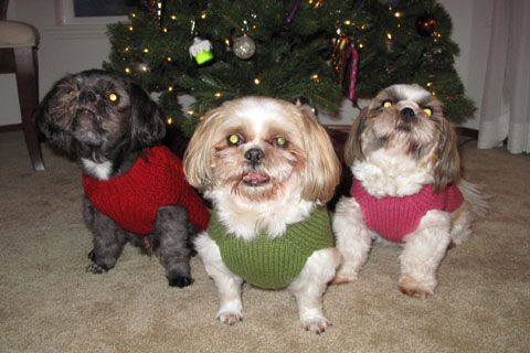 クリスマスディナー