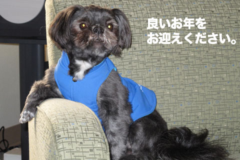 米国・・・年末年始のスケジュー...