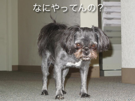 ブログルスキンの変更ができなく...