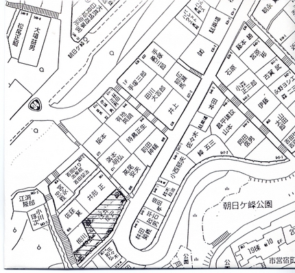 頑張っている日本の企業。