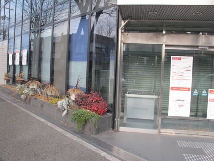 花壇・花瓶の植木も可哀想