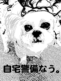 Manga-Camera 面白...