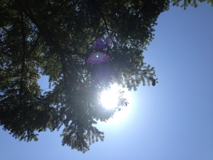 今日は土曜日、快晴です。