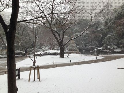土曜日の雪