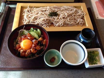 日本の食事