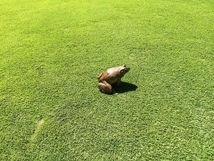 ゴルフクラブの主か