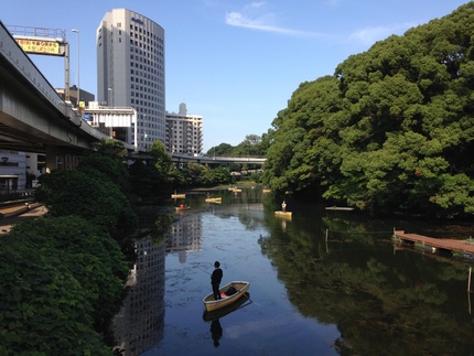 次回の日本出張