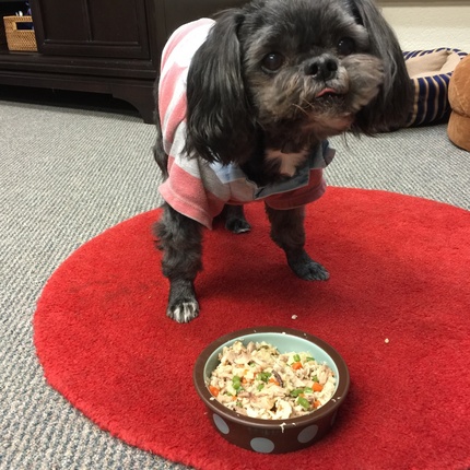 ポンポン君　夕食を完食