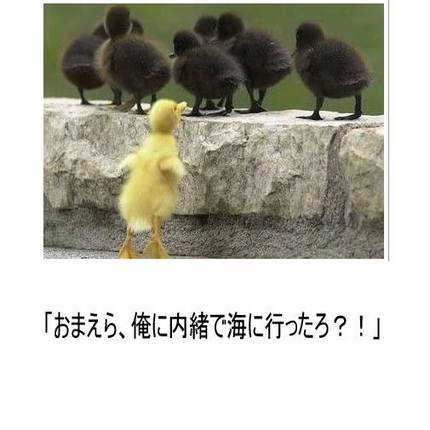 笑えます