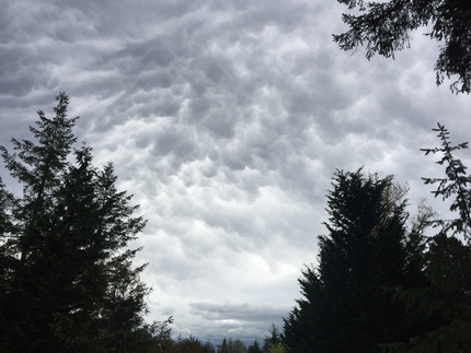 雲
