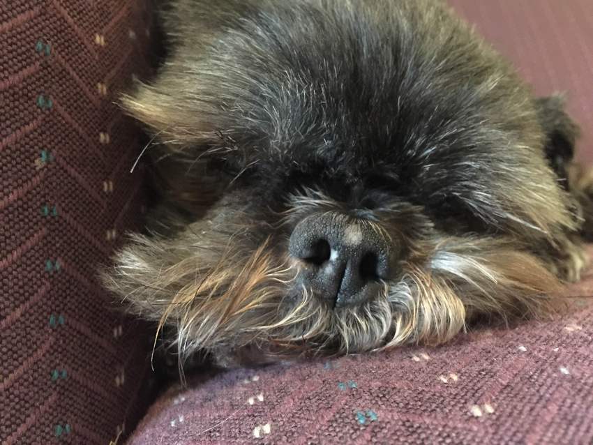 眠い