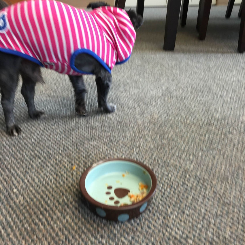 ポンポンくん完食