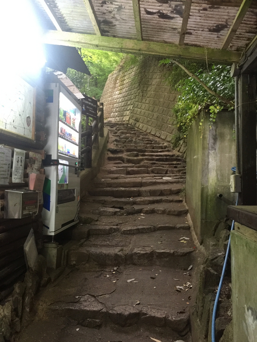 久しぶりに歩いた