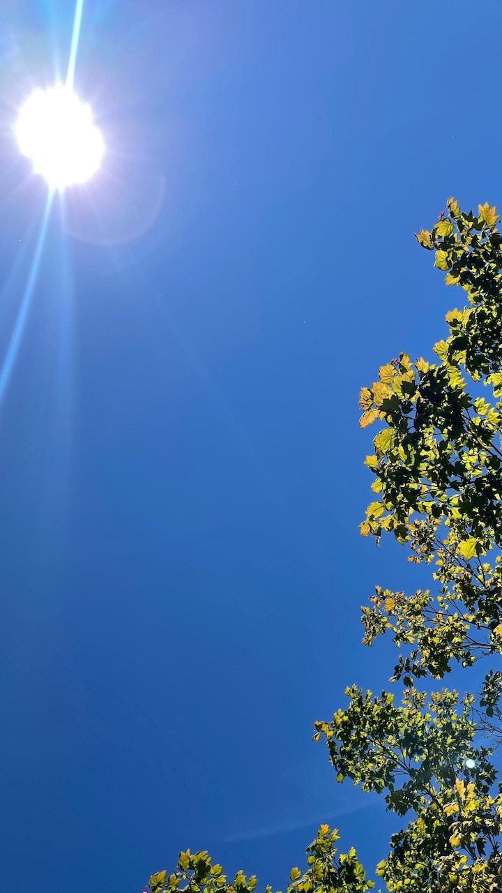 日本ほどではないけど今日はシア...
