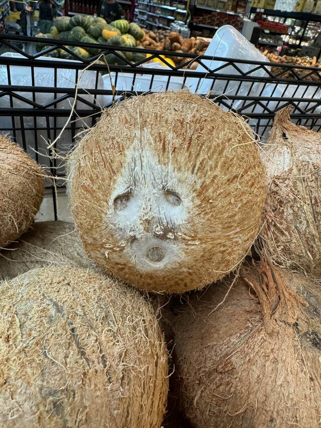 顔に見える