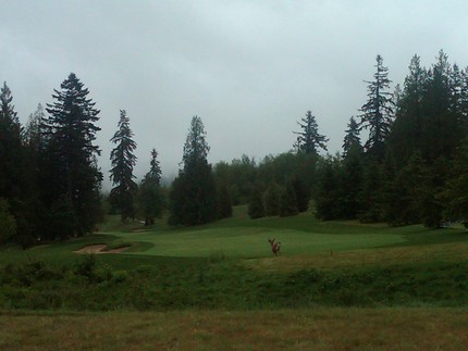 Golf at Aldarra