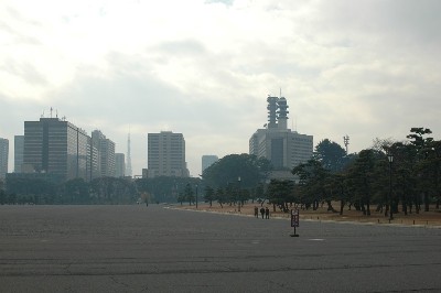 都会のオアシス