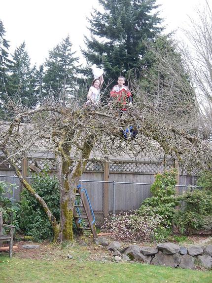 危険を感じる木登りは親として冷...