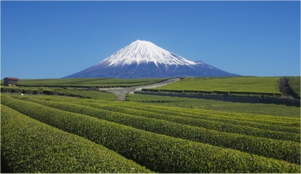 富士山が低いらしい