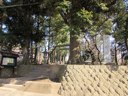 野川神社の入口