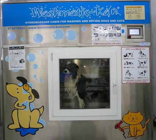Dog Wash Machine