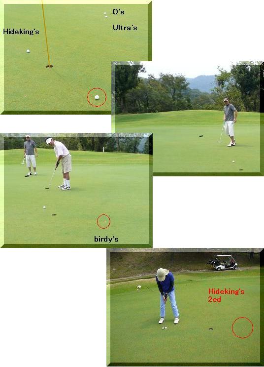 for birdie