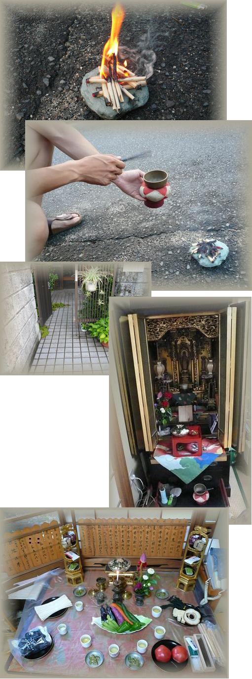 お盆は忙しい、ババショフが！