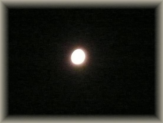 今夜は十三夜・後の月見