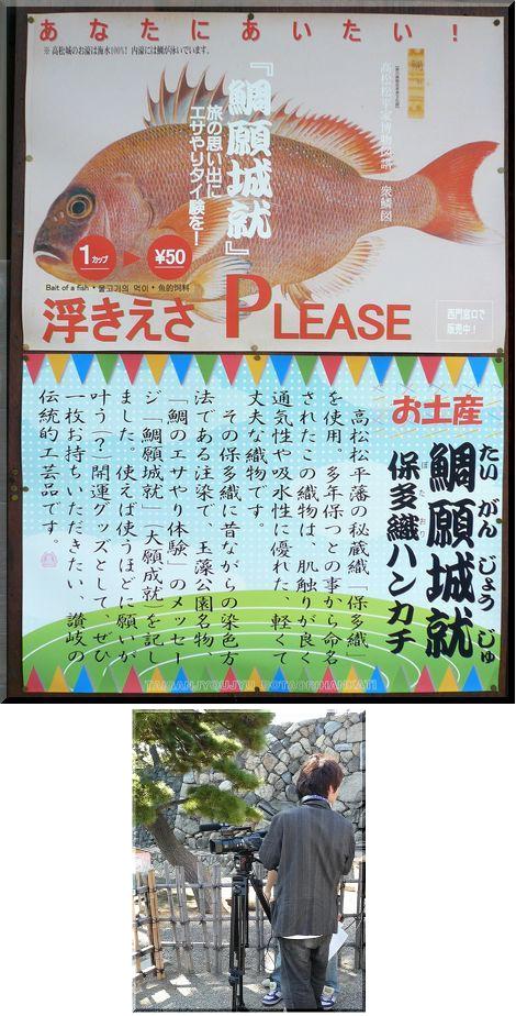 鯛願城就