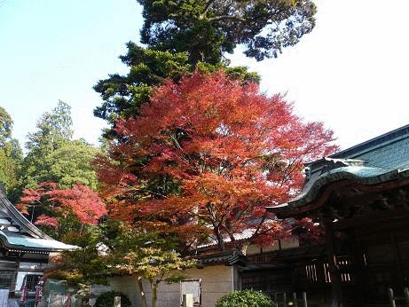 四国88箇所81番札所白峰寺の...