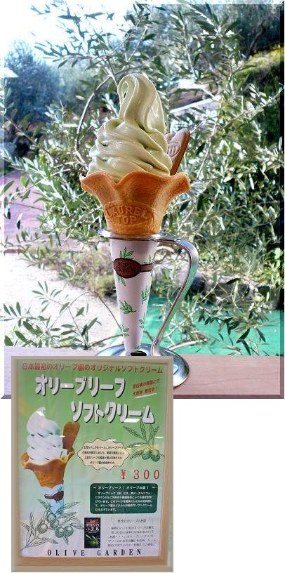 小豆島はオリーブの島！