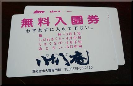 発展途上の「しゃくなげ園」