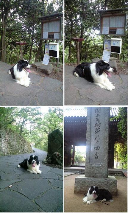 初屋島登山！
