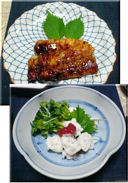 「鱧の照り焼きと湯びき」−20...