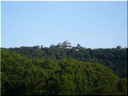 松山から、おはようございます！