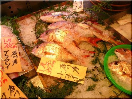 やっと生魚！−2009/12/...