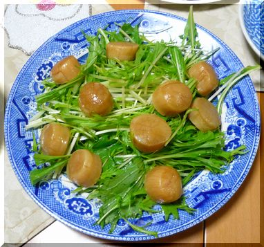 いただき物が大活躍！−2009...