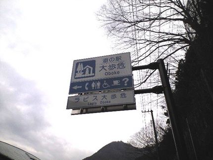 道の駅　大歩危にきました