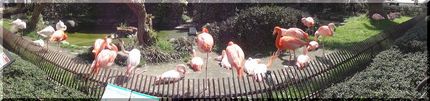 とべ動物園