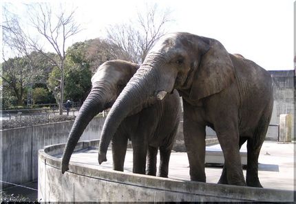 とべ動物園　エサの自販機　(^...