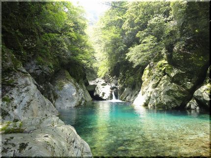 目には青葉、山ほととぎす…