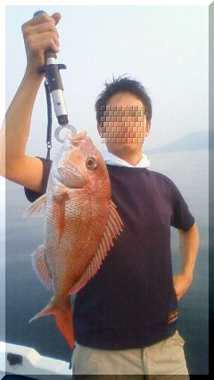真鯛、獲ったどぉ〜！