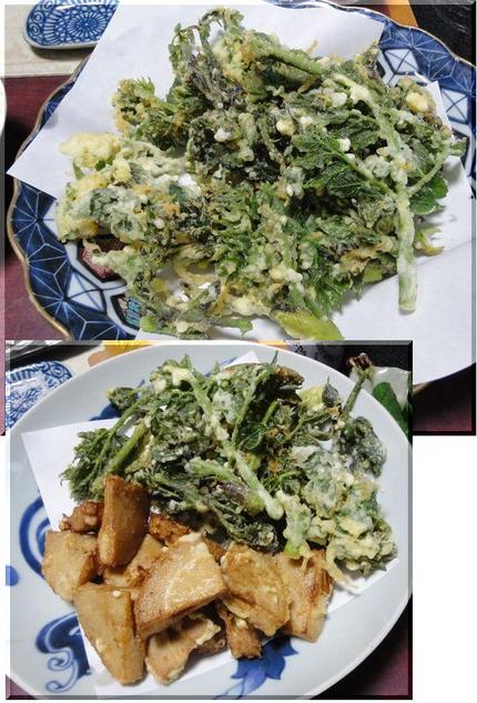 タラ、筍、ワラビ、野蕗で晩御飯...