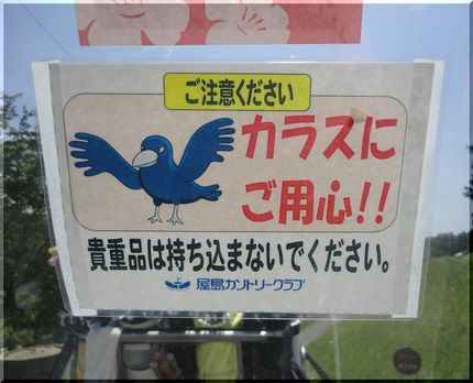 カースケにやられた！(-_-)...