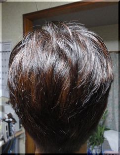 メッシュ、控えめにいれました！