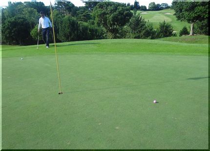 Nice Birdie!