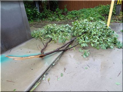 台風6号、注意報に変わったけど...