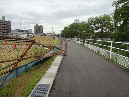 台風一過のwalking　　　...