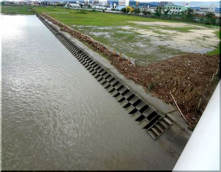 台風一過のwalking　　　...