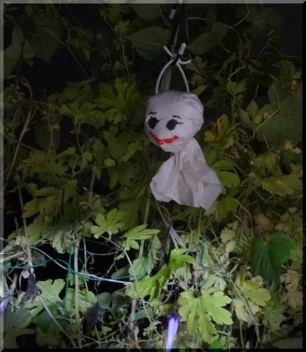 今のところ、晴れ！行ってきまぁ...
